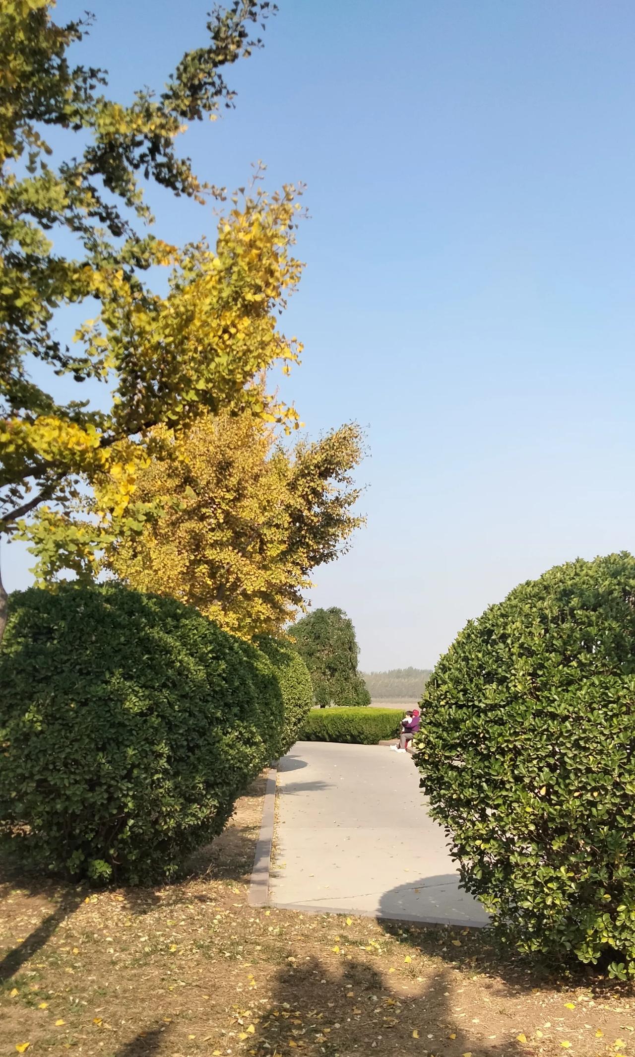 真正懂你的人
不需要你多说一句话
不懂你的人
你就是口若悬河，磨破嘴皮子也是鸡同