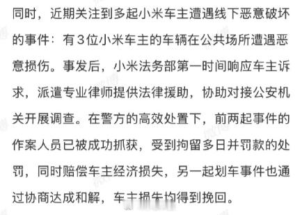 有3个极端问线下恶意破坏小米汽车，这些人太蠢了是不是没脑子