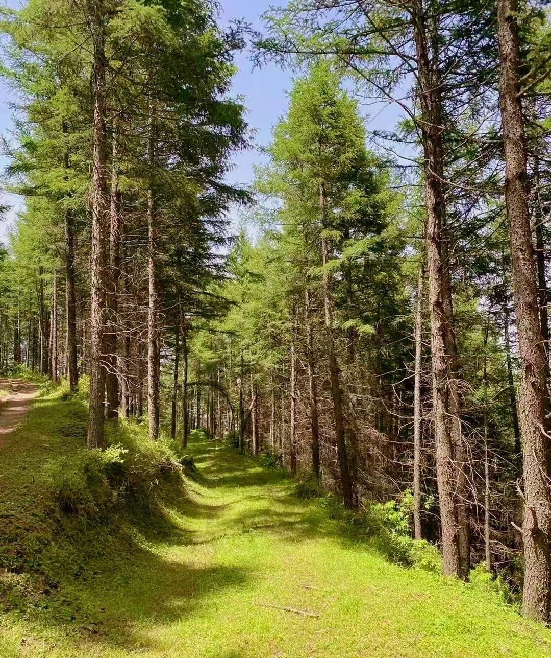 如果当下的你迷茫不知道做什么？不做而又焦虑就来写微头条吧。有写微头条的能力不仅是