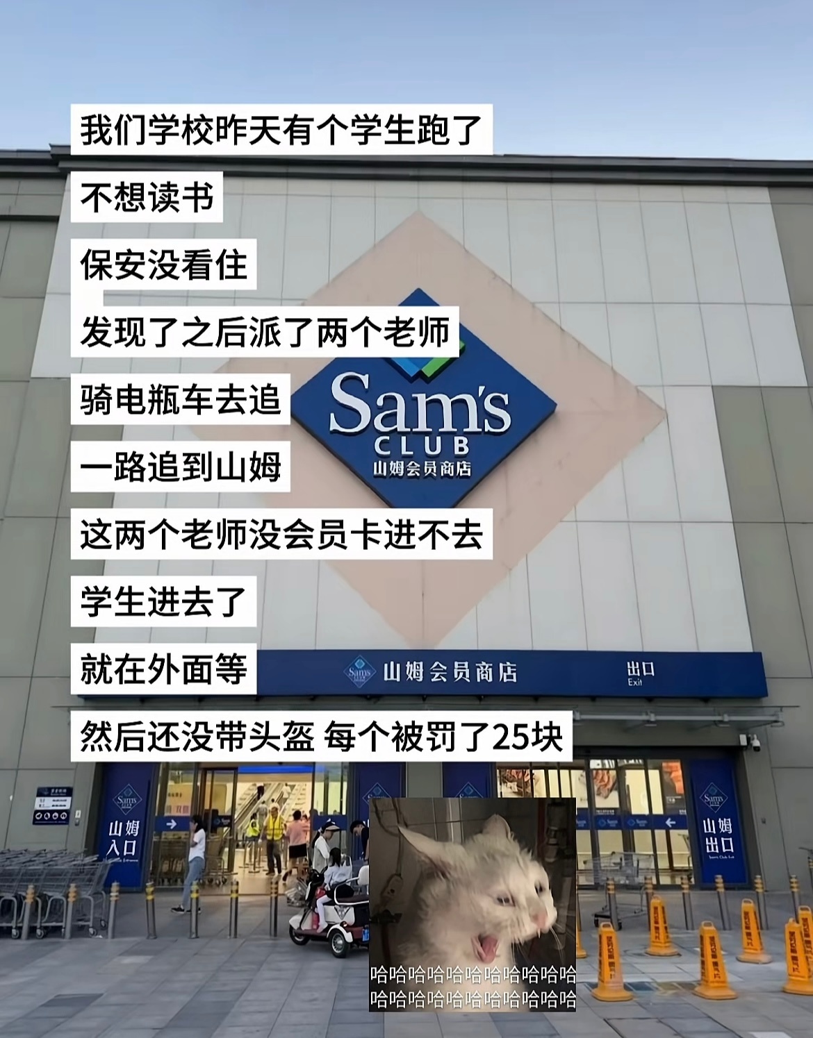 电影欢迎来龙餐馆口碑盘点那些山姆的神级救场哈哈哈哈哈哈哈哈哈哈 