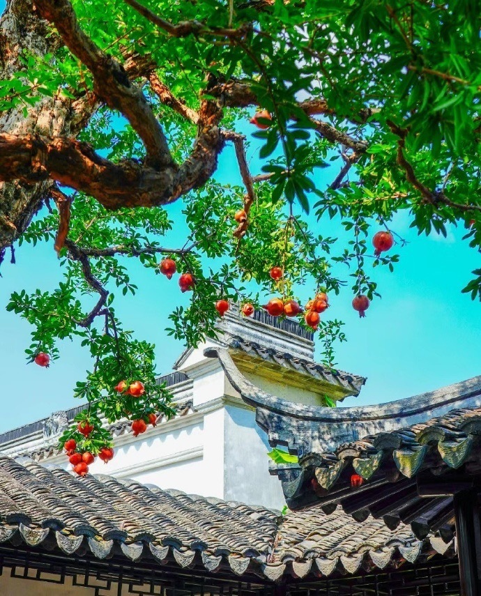 早上好！ ​​​