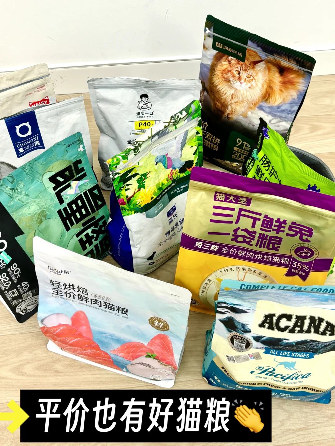 5年养猫人经验分享！值得反复回购的那些猫粮