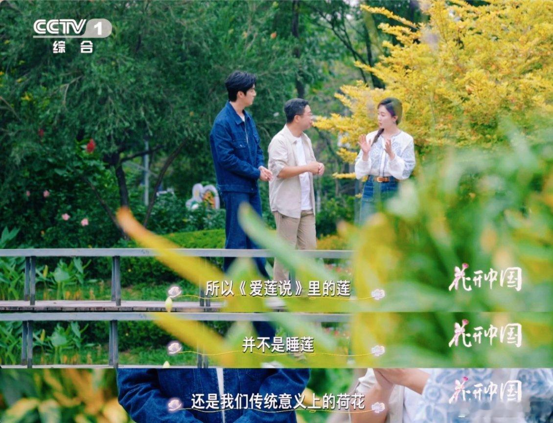 睡莲不是莲爱莲说的莲是什么花 原来《爱莲说》里的主角是荷花呀！一直以为是睡莲，看