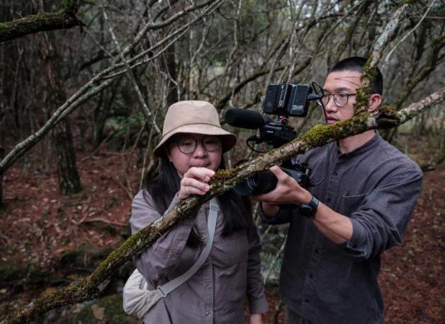 【离开城市的喧嚣，回归自然】
润物细无声，植物背后究竟有什么样的故事呢？当你在大