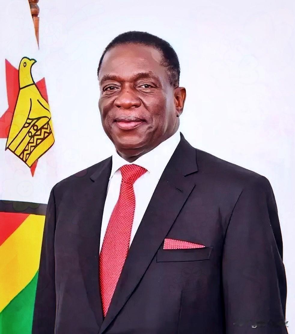 前脚巴拿马不顾中方反对，强行接管了巴拿马港口，后脚津巴布韦突然宣布暂停锂矿出口。