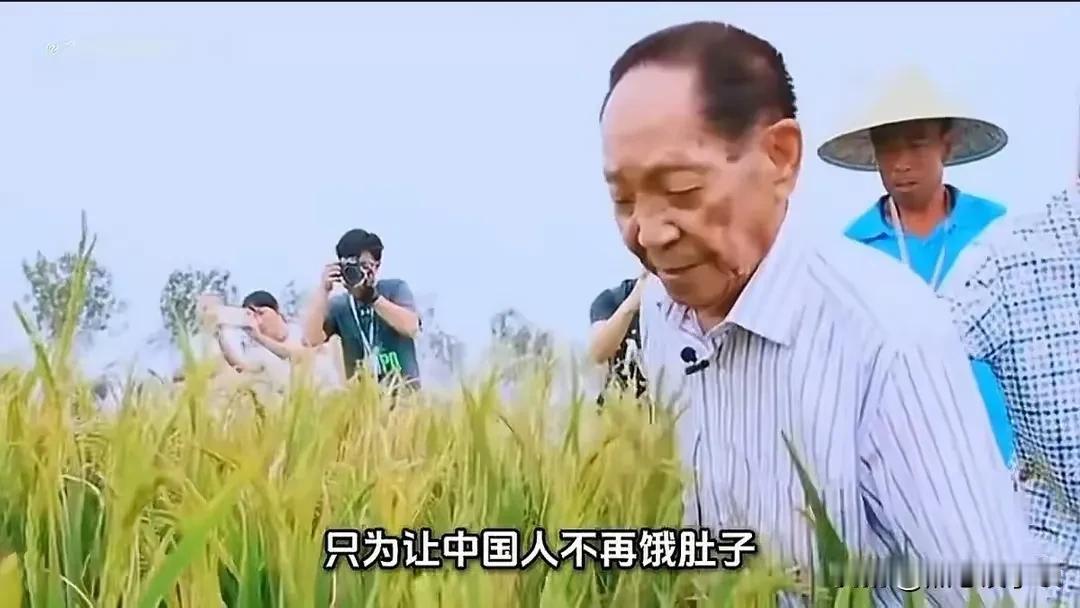 水稻专家袁隆平说，中国的粮食是不够吃的，要进口一部分，如果人家一卡你不卖粮，那就