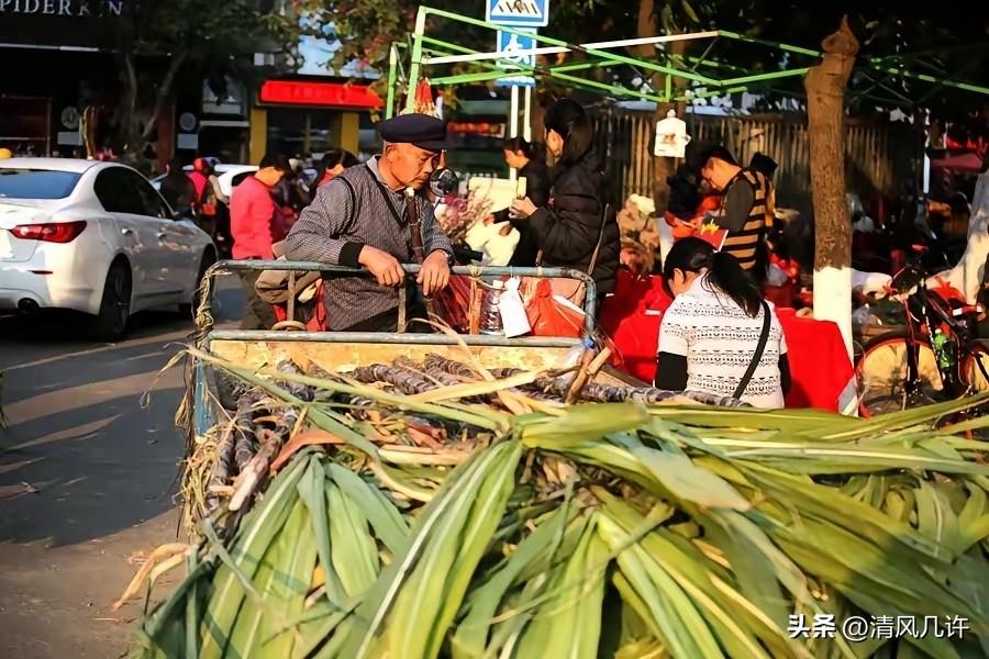 成都一位网友，发现楼下卖甘蔗的摊主好几个月没出摊了，心里犯嘀咕，走到摊主常待的位