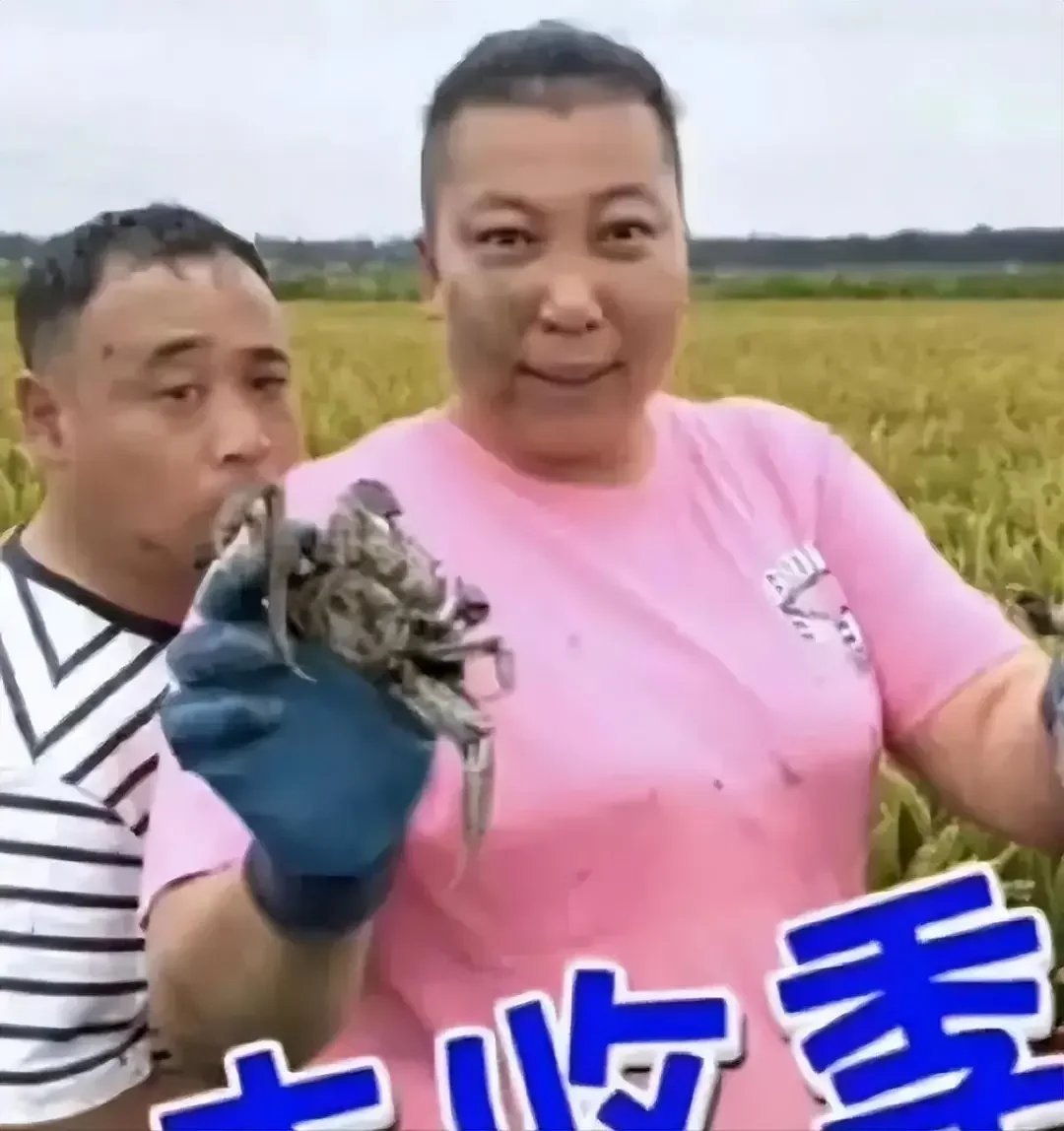 东北雨姐转世账号被关闭东北雨姐转世号被封！网友：想念那个扛猪做饭的硬核女神😭谁