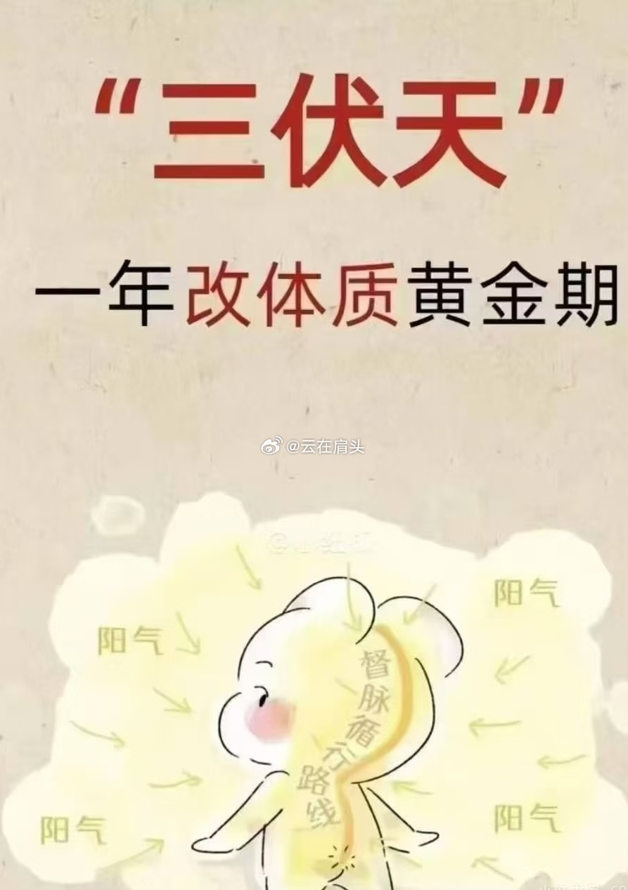 生活手记前天中医小同事给贴完三伏贴，当晚早早就困意来袭，睡滴美美。今儿继续安排拔