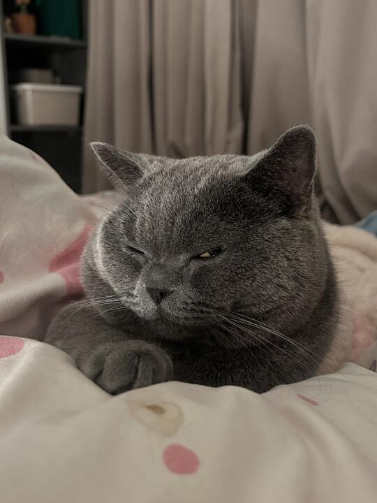 鸭头，这都迷不死你？