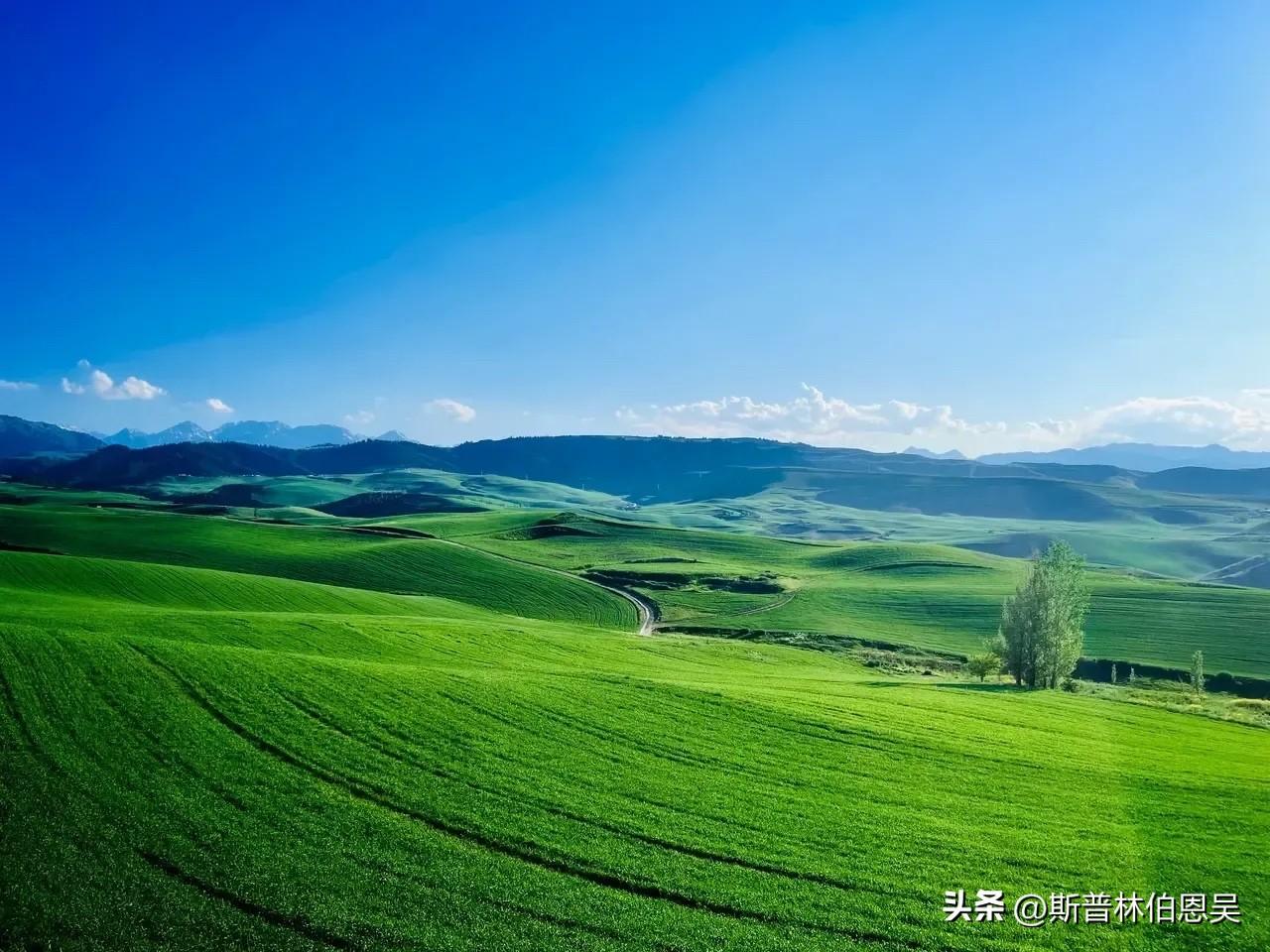 夏日出游首选北方与西部区域，是天然的避暑好去处。东北林区、内蒙草原盛夏气温大多维