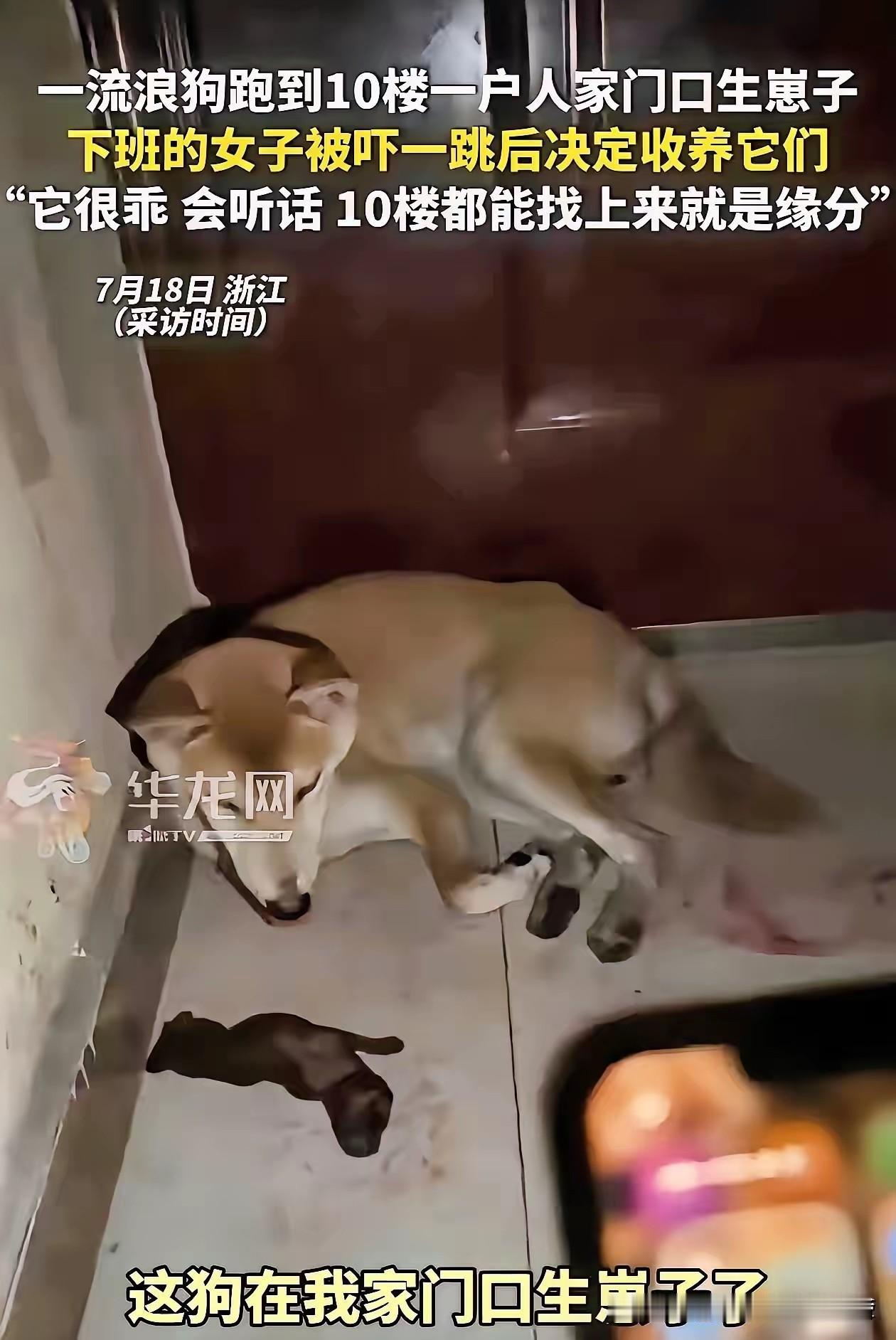 这就是缘分！浙江，家住十楼的女子下班回家，刚到门口就闻到一股血腥味，吓得她赶紧打