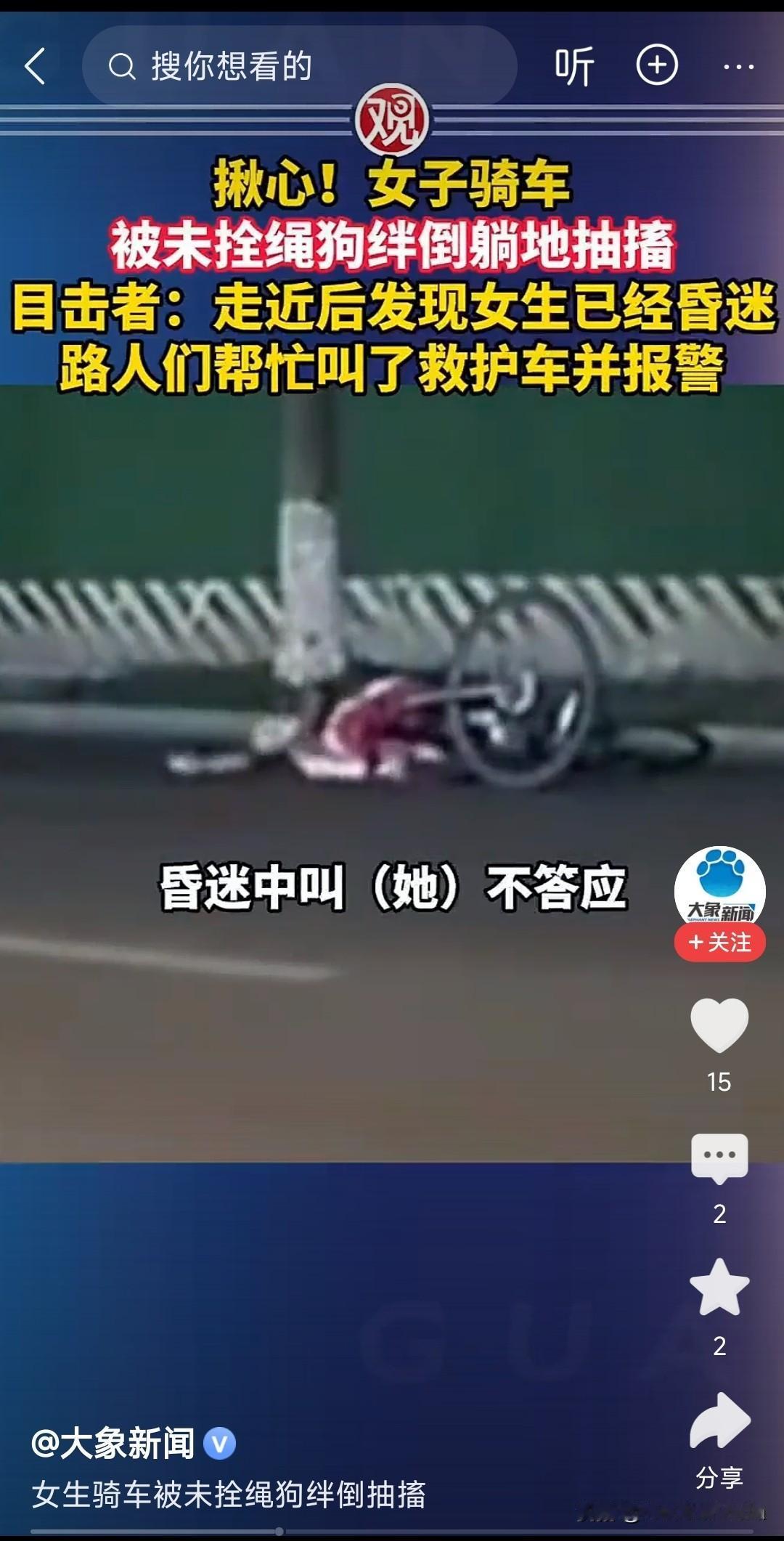 不牵绳白色大狗把骑车女生绊倒头着地，当时在场有人呼唤她没反应还抽搐。估计伤到脑子