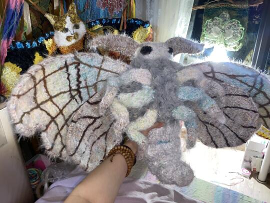 明天是我的生日 妈妈说陪我吃烧烤