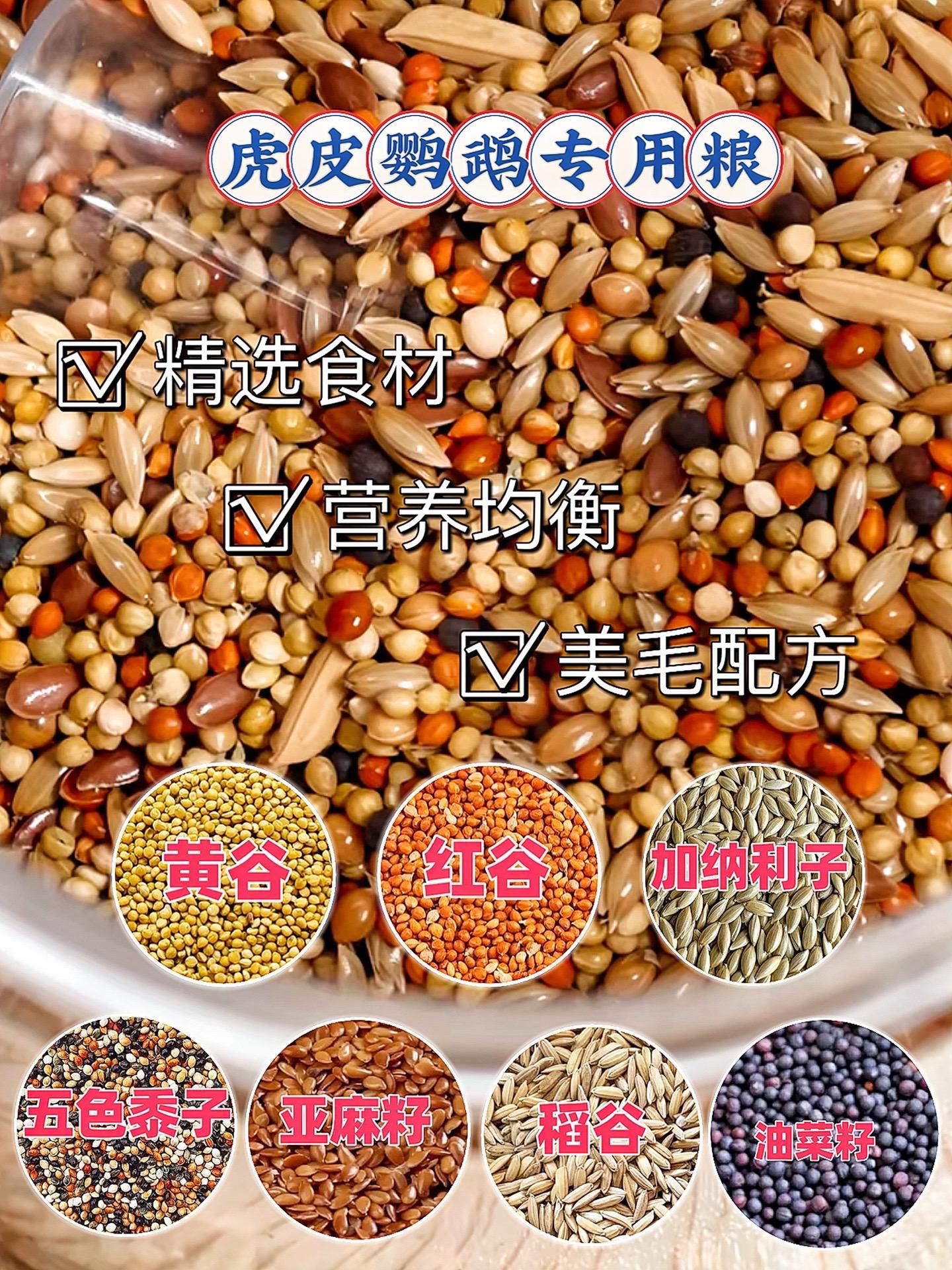 营养均衡  • 虎皮鹦鹉专用鸟粮是根据其营养需求精准调配的。比如富含蛋...
