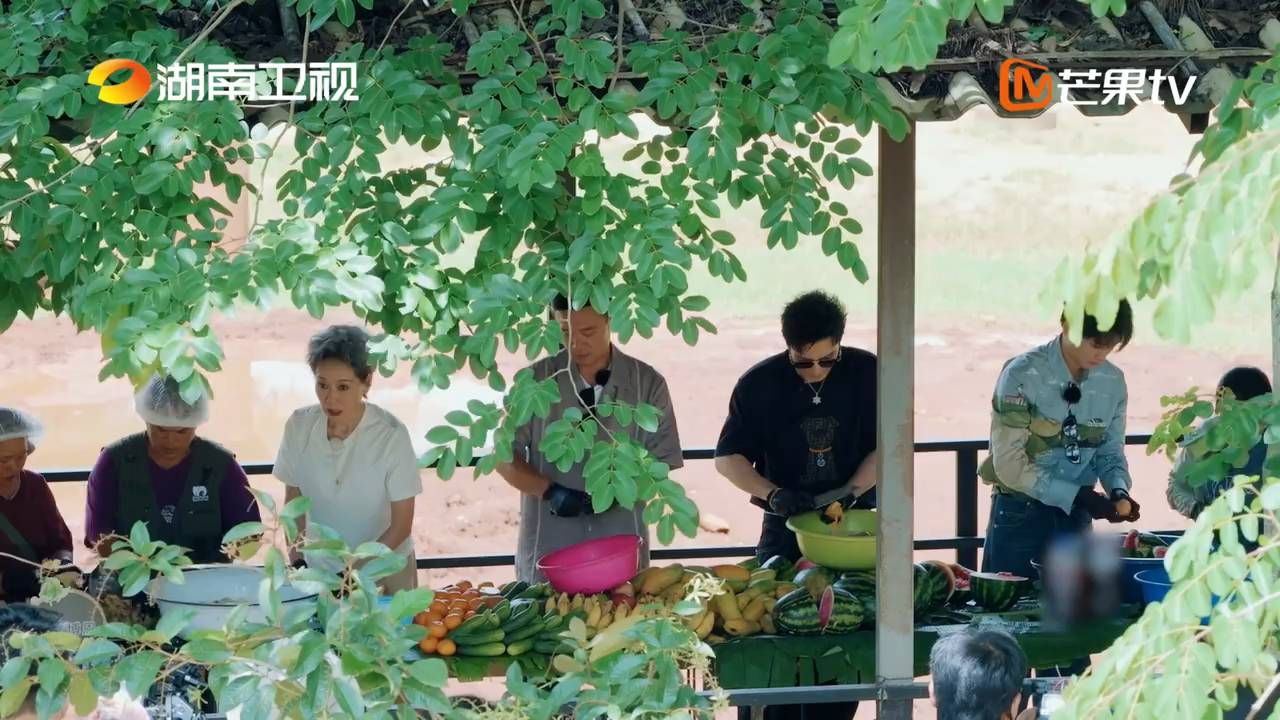 【中餐厅·南洋拾光季】蛋糕香味引来大象 王俊凯林述巍现场开启投喂