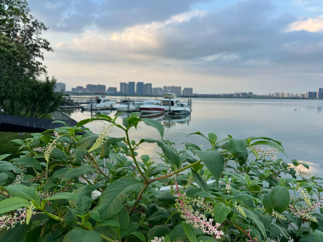 明天夏至，是北半球一年中白昼最长的一天；今天宜兴白天时长约14小时11分，此刻太