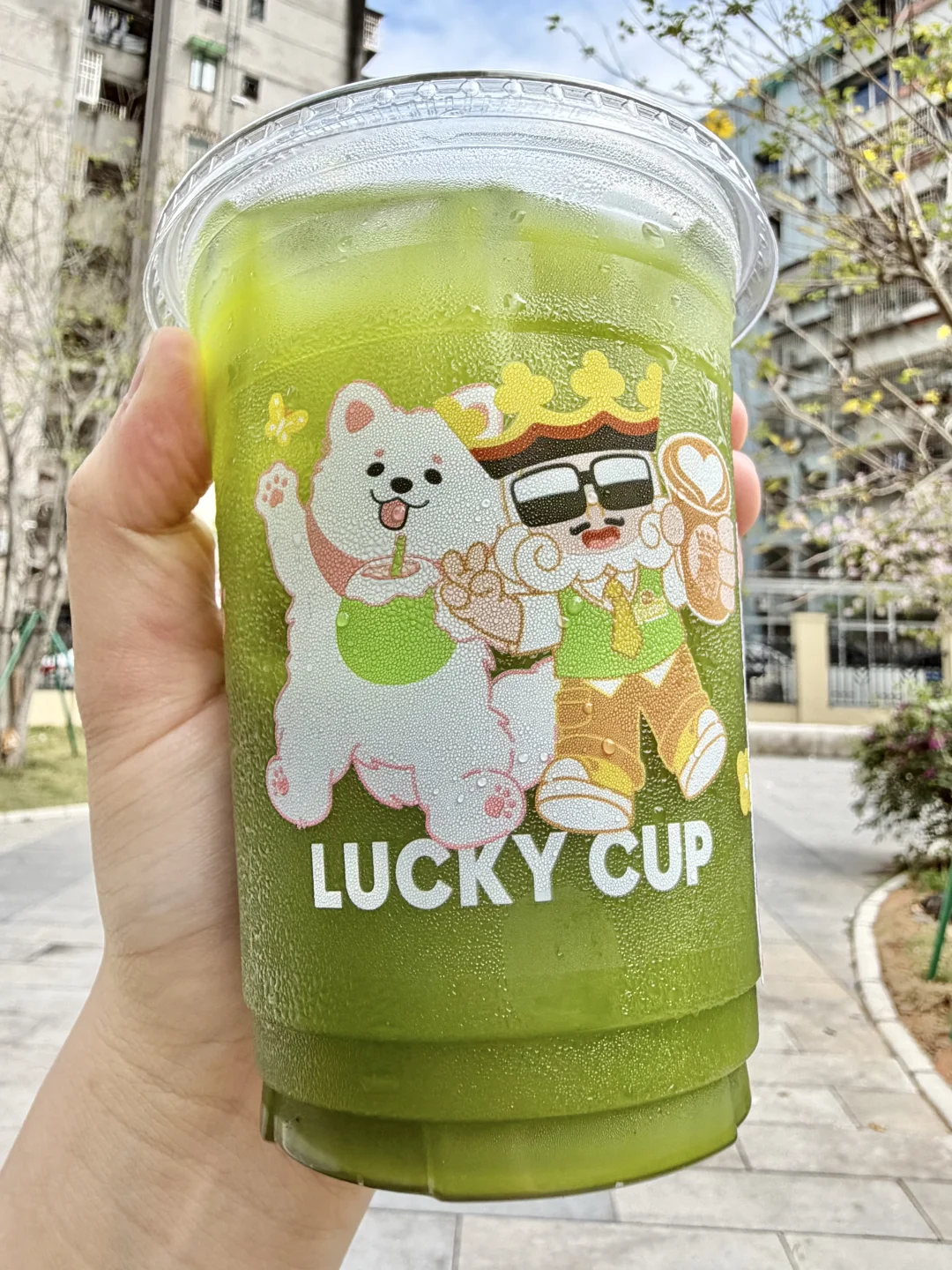 谁懂这杯摇摇冰椰抹茶的含金量......