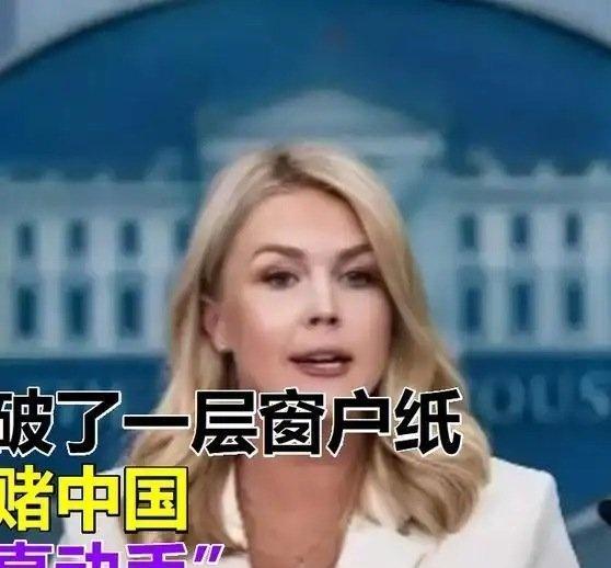 鱼骨眼干的

《美国 总算捅破了一层窗户纸：过去敢赌中国 “不敢真动手”，如今才