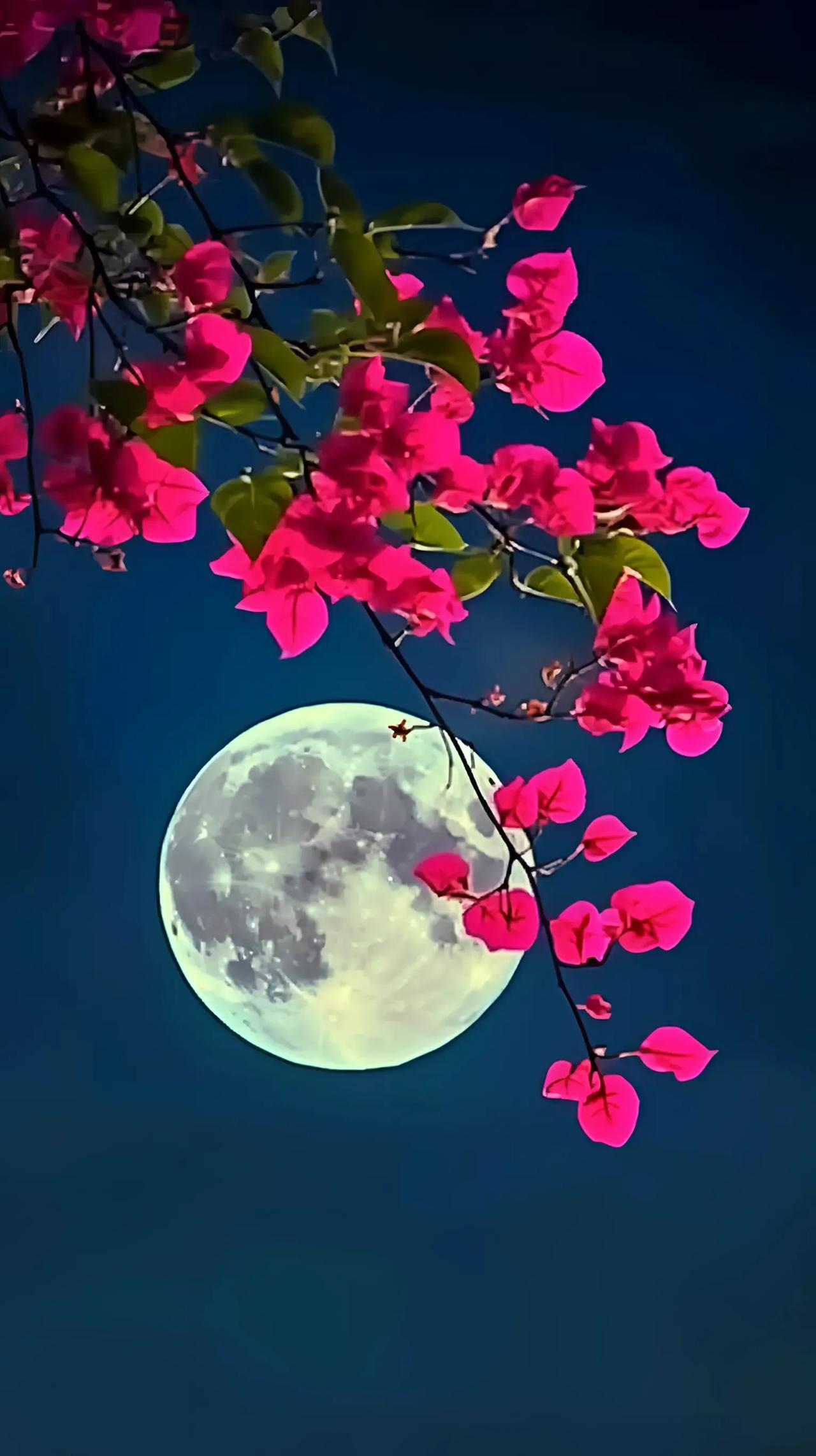 #上联：半壁古书香满座，如何对下联#
[送自己一朵花][玫瑰][福]
下联:一轮