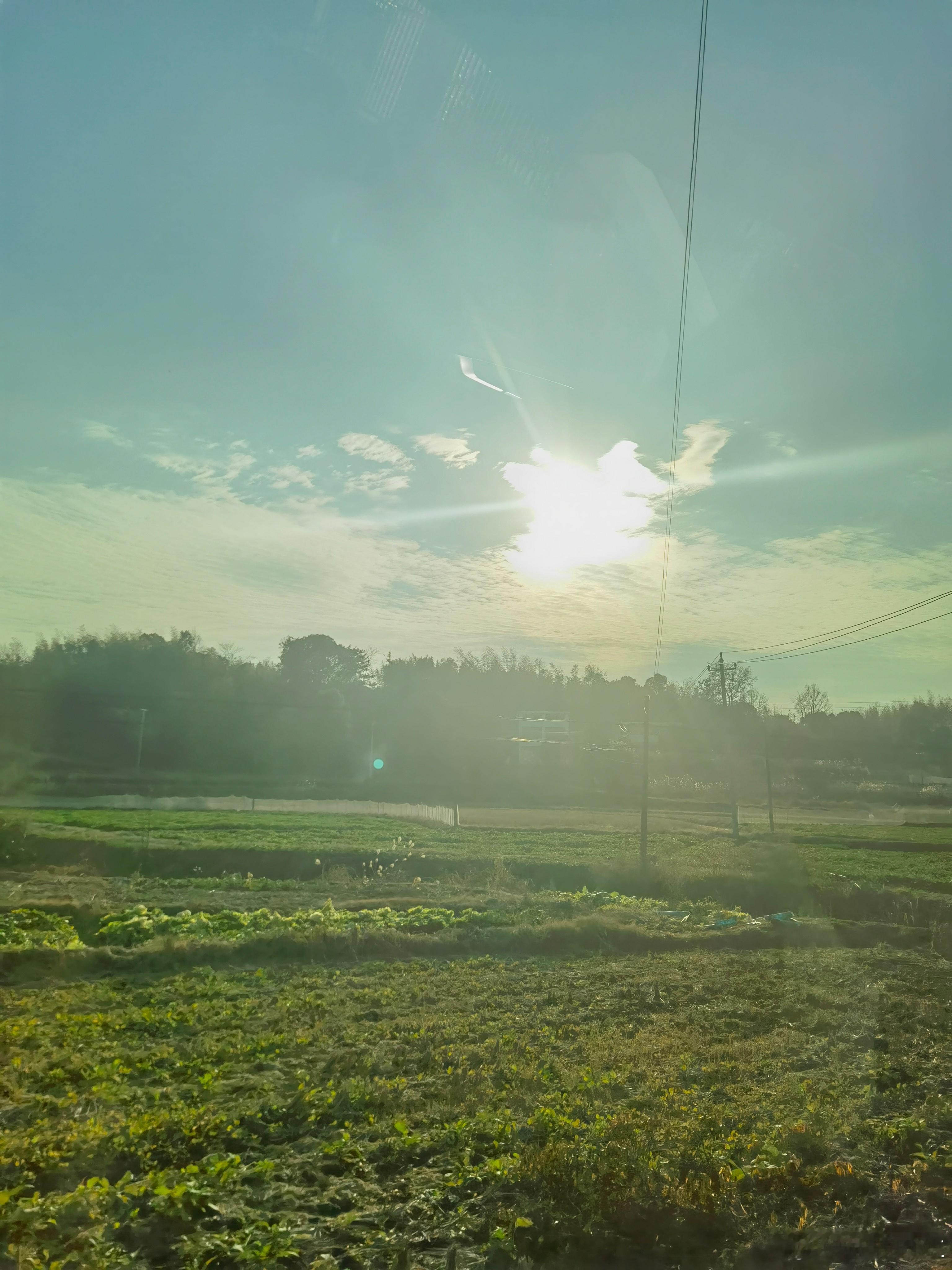 行香子·吊清平先生楚云低，雪压寒汀。松涛咽、古渡船横。烛影摇馨，窗竹鸣琼。记春蚕