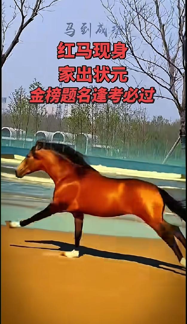 我熬了16年，终于等到女儿高考这天。
 
7号高考，对所有学子来说是人生关键一战