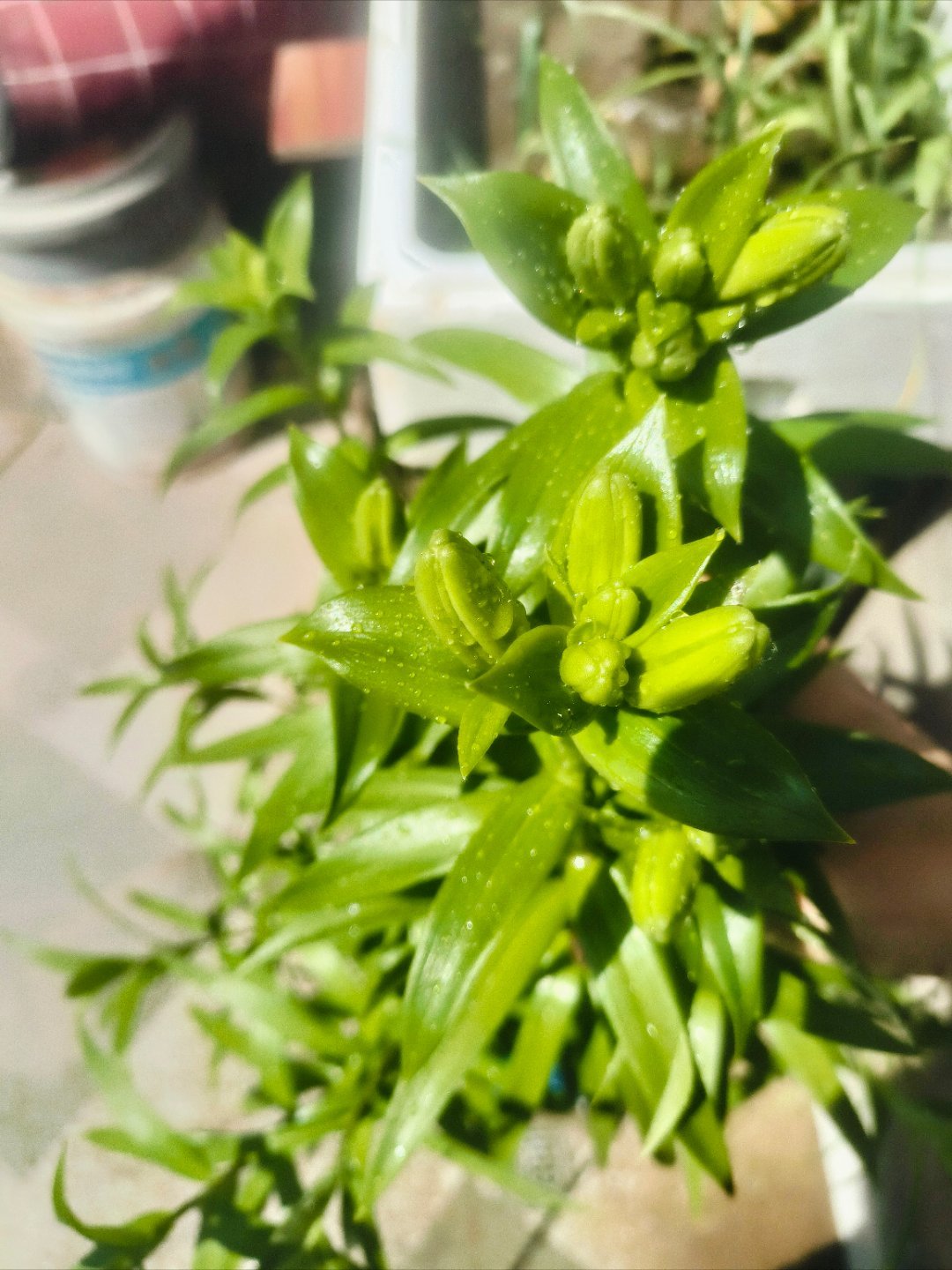 金银再大跌300涨到一千多才是大涨，28块钱那是毛大跌啊 ！天天喊大跌，大跌，又