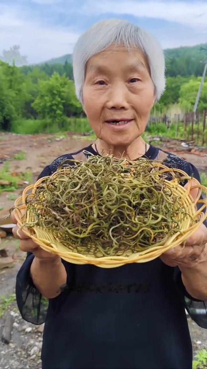 我家是小兴安岭的主麦原始大森林，这是邻居家采，自己采，纯野生的神经茶。它长在悬崖