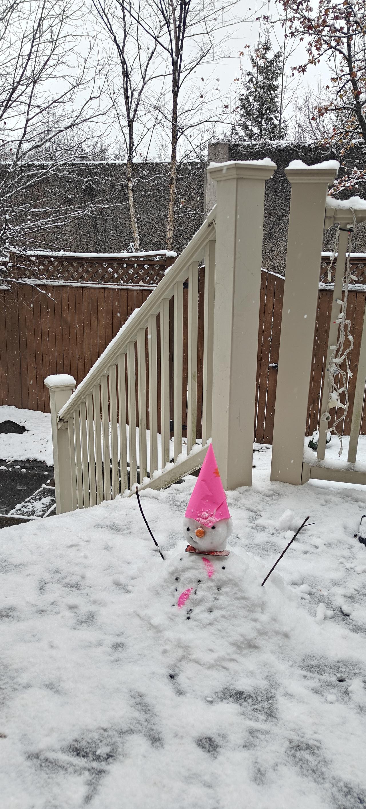 费尔奥克斯今冬的第一场雪，下元之时，十五的月亮，十六圆，昨夜圆月高照，今晨雪花飘