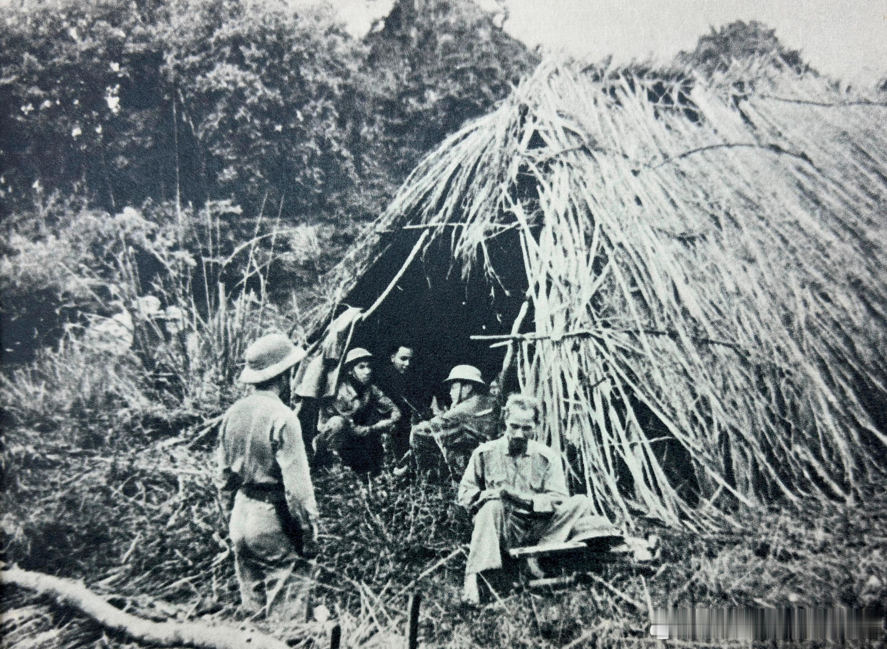 1950年边界战役期间，胡志明驻地随战斗推进而迁移，有时就住在临时搭的草棚里军事