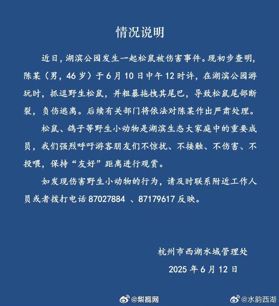 【#西湖通报松鼠被游客拔断尾巴##西湖松鼠被游客粗暴拔断尾巴#】6月12日，杭州