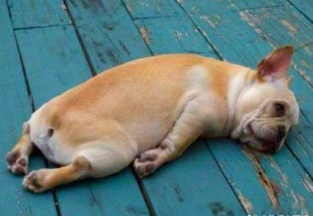 #这是我的心里话# 没有天生的适合，只有适应中的磨合。你不能要求太高，只要对方靠