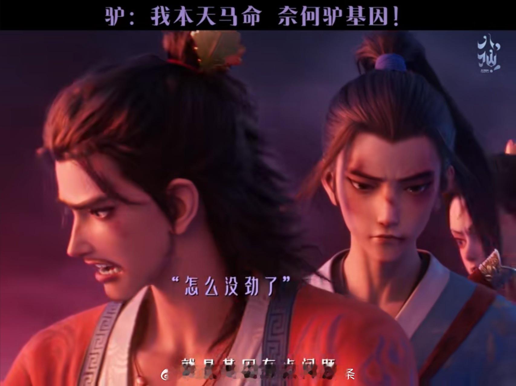 小猫皱眉 