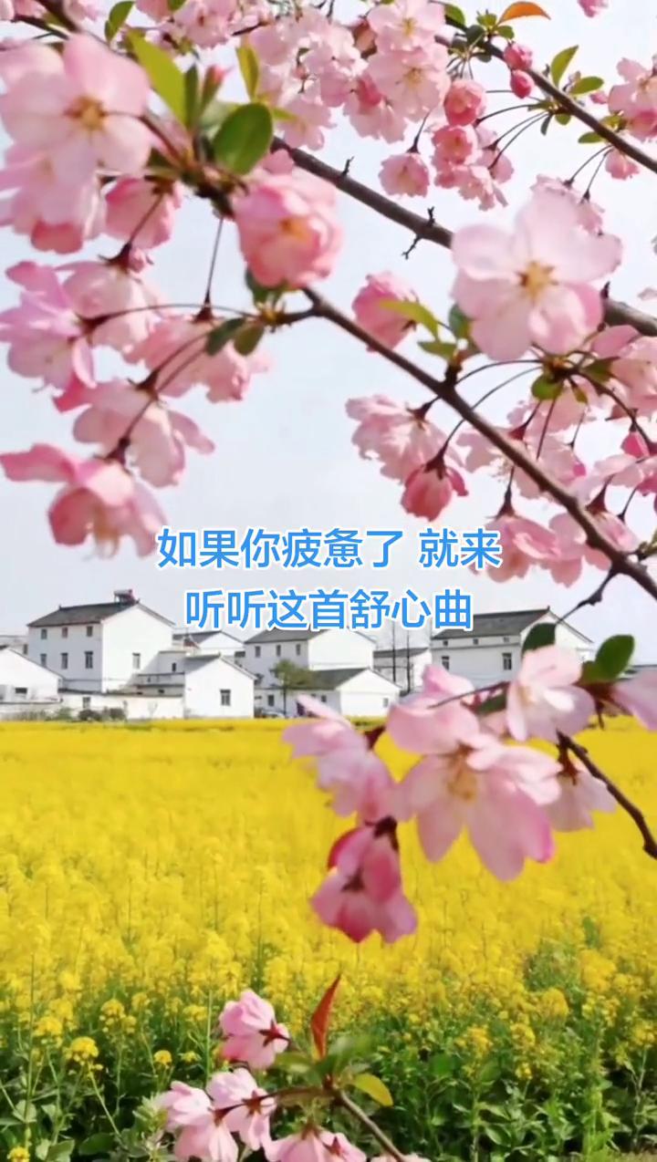 如果你疲惫了就来听听这首舒心曲。