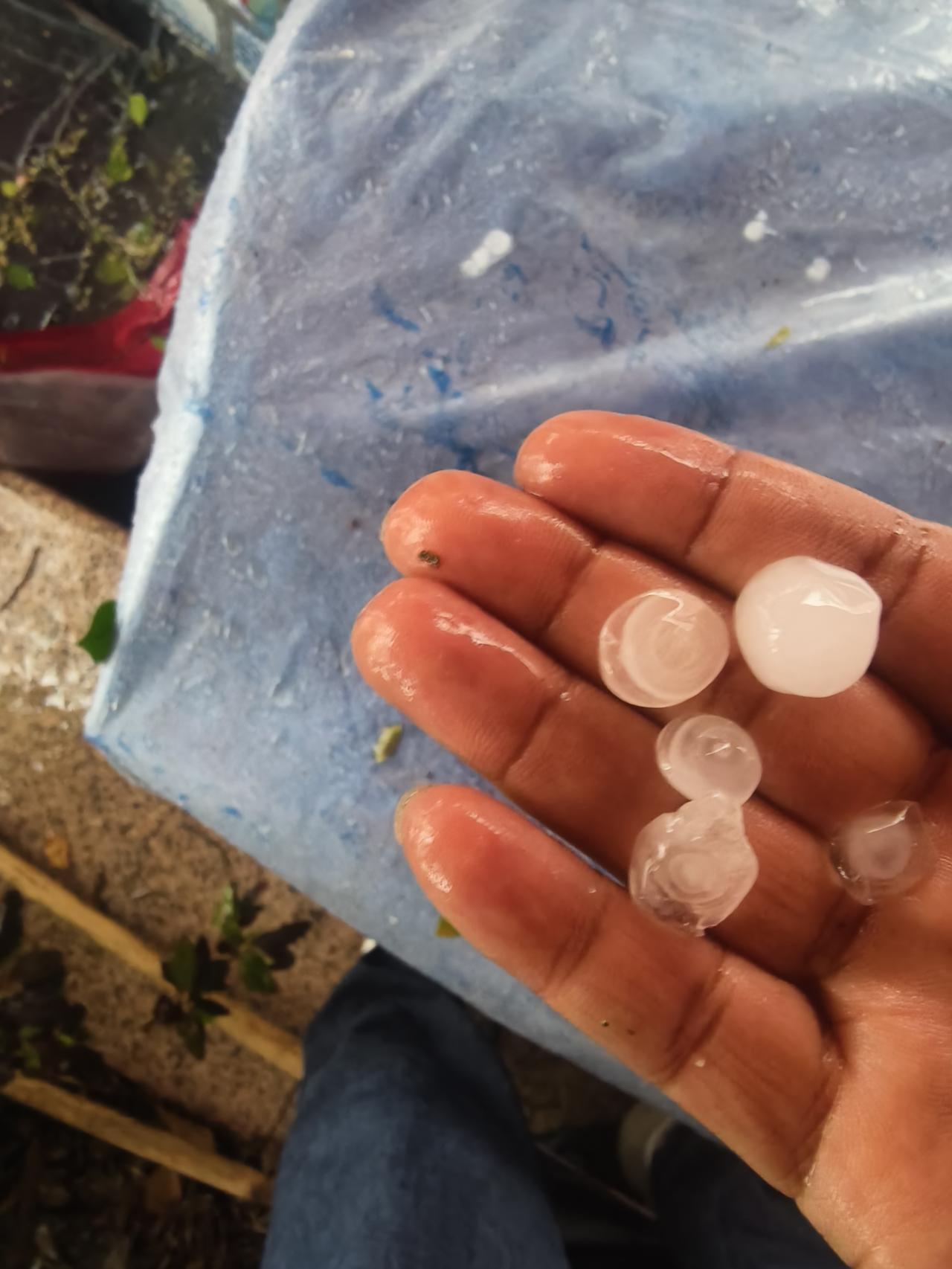 玉林市区下冰雹了，还挺大的！户外冰雹 陆川城大雨 桂北冰雹 玉林雷暴雨 来宾冰雹