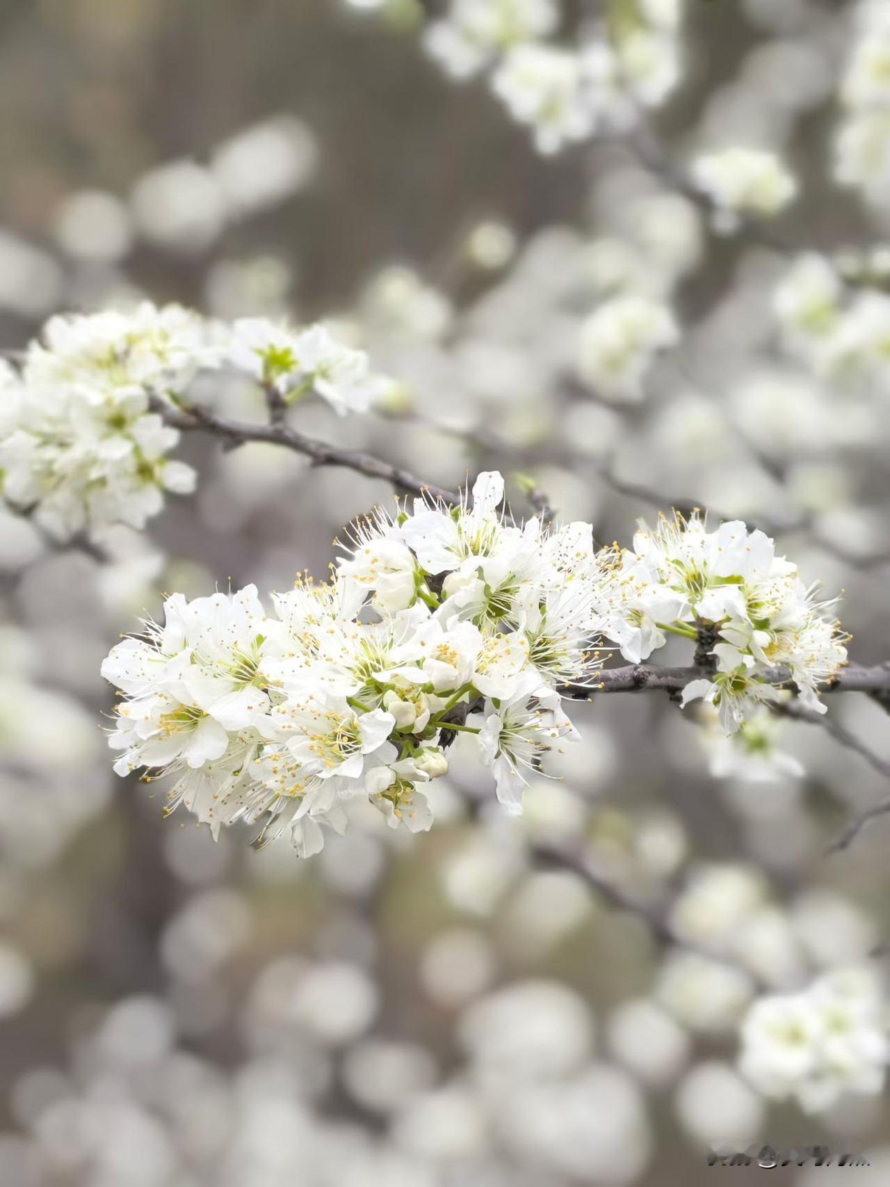最苦的婚姻是什么样的？

都说婚姻最苦的没钱又没权，可是要我说。

最苦的婚姻就