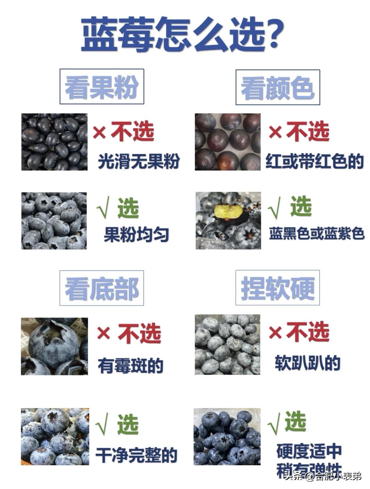 云南蓝莓真的太顶了，脆甜多汁、花青素满满，天然抗氧化又抗炎。
支持国产好水果，支