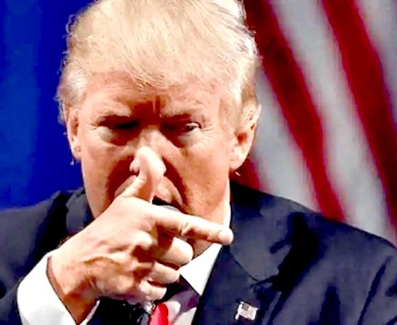 既不忸怩作态，更不遮遮掩掩，恰似“我是强盗我怕谁”一般，他就是如此直白！

据报