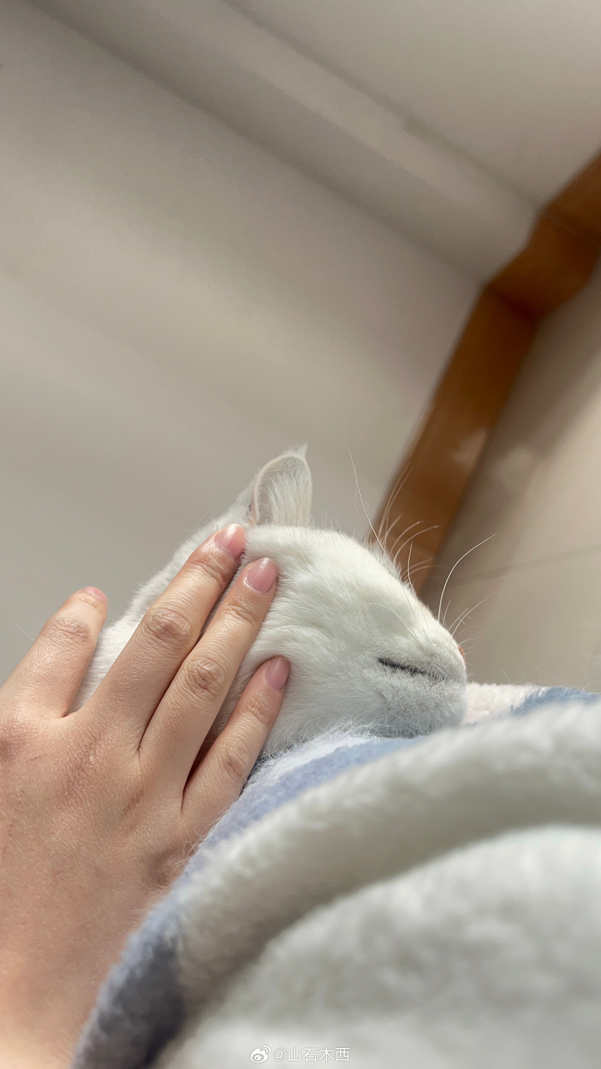 奇怪的苹果锐度 ​​​