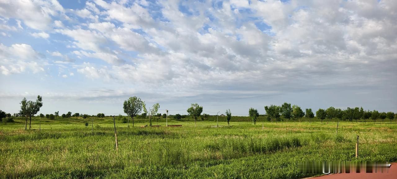骑行和跑步哪个更好?为什么要分哪个更好呢？适合自己的就是最好的。有人更喜欢跑步，