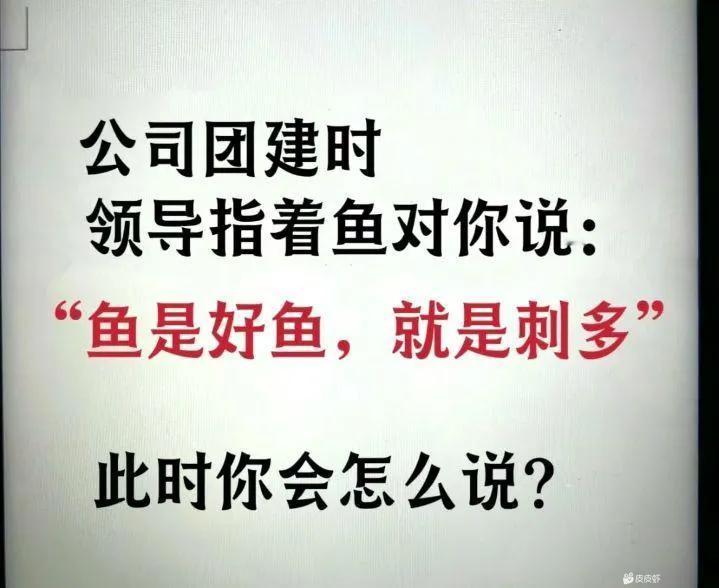 你会怎么说？