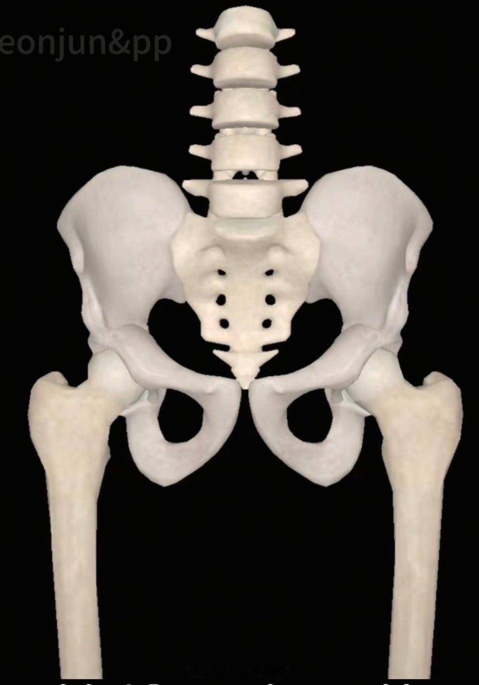 在韩国很流行的骨盆整形妈呀，盆骨也能整形吗[允悲]上一个令我震惊的还是断骨增高和