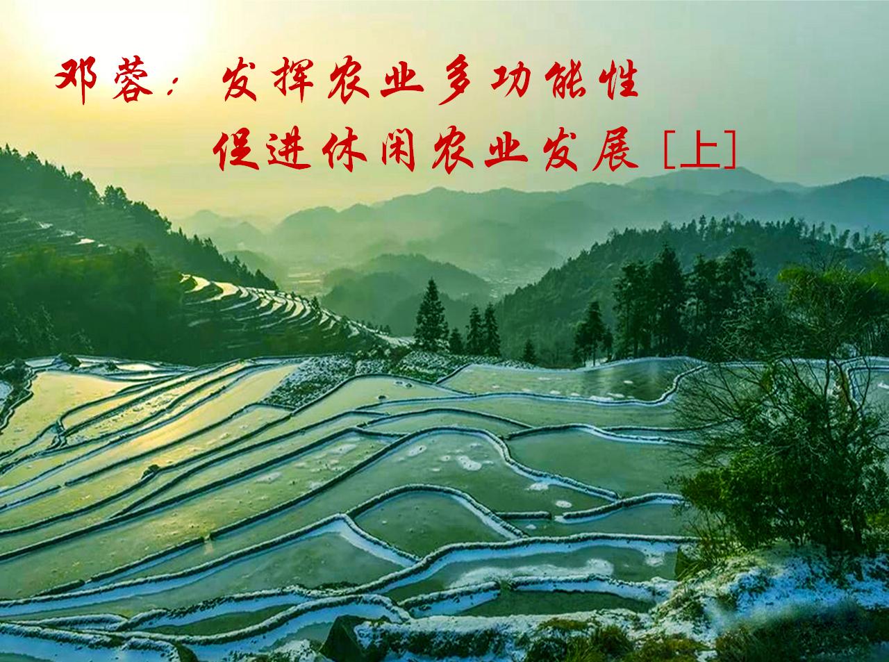 [邓蓉]：发挥农业多功能性 促进休闲农业发展[上]
休闲农业       乡村振