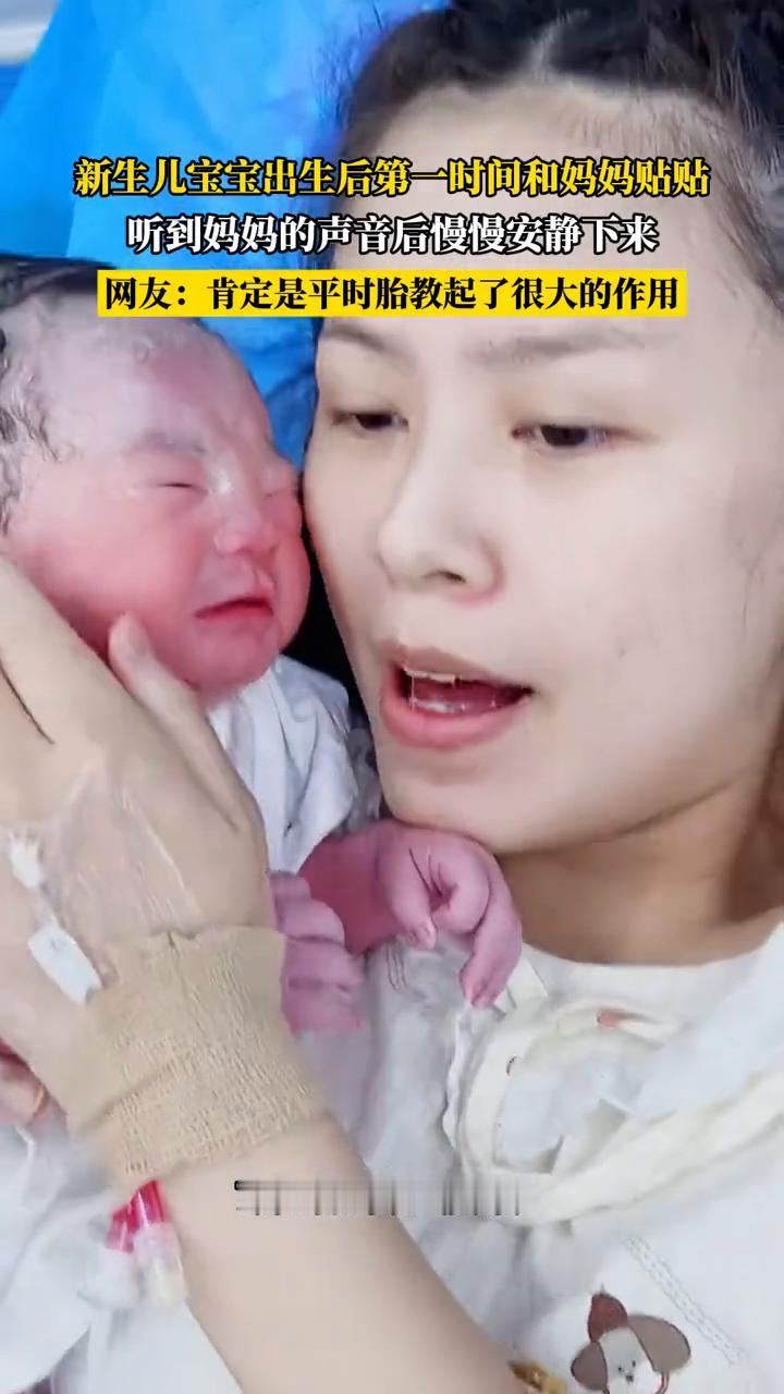 新生儿宝宝出生后第一时间和妈妈贴贴，听到妈妈的声音后慢慢安静下来。
网友：肯定是