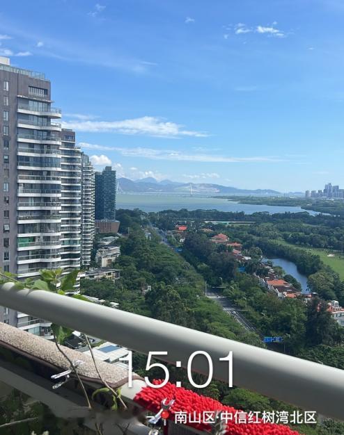 谁懂啊！今天在看深圳的豪宅，注意到一套荀盘，业主因背负2700万元债无力偿还，豪