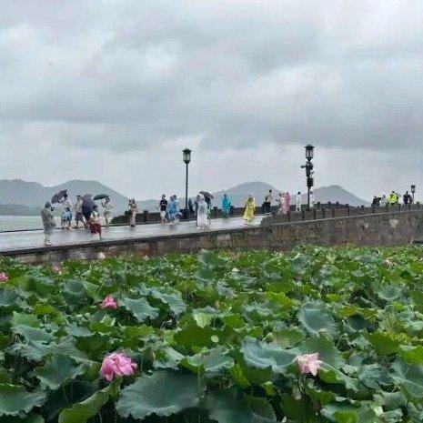 白海豚来袭西湖断桥挤满人注意安全哦 西安·华严寺