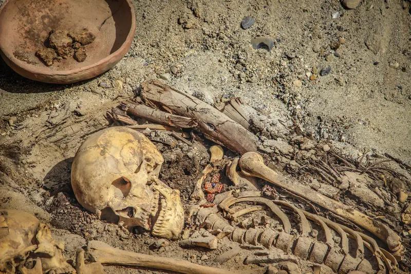 美国地方检察官称，在一个嫌疑人的家里发现了100多具人类遗骸，最小的只有几个月大