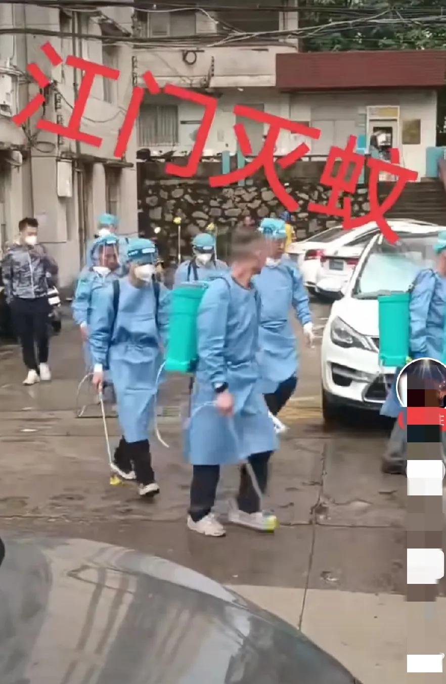 广东江门的蚊子有这么恐怖吗，组织这么多人灭蚊。学校群里，只要放假，老师都会提醒，