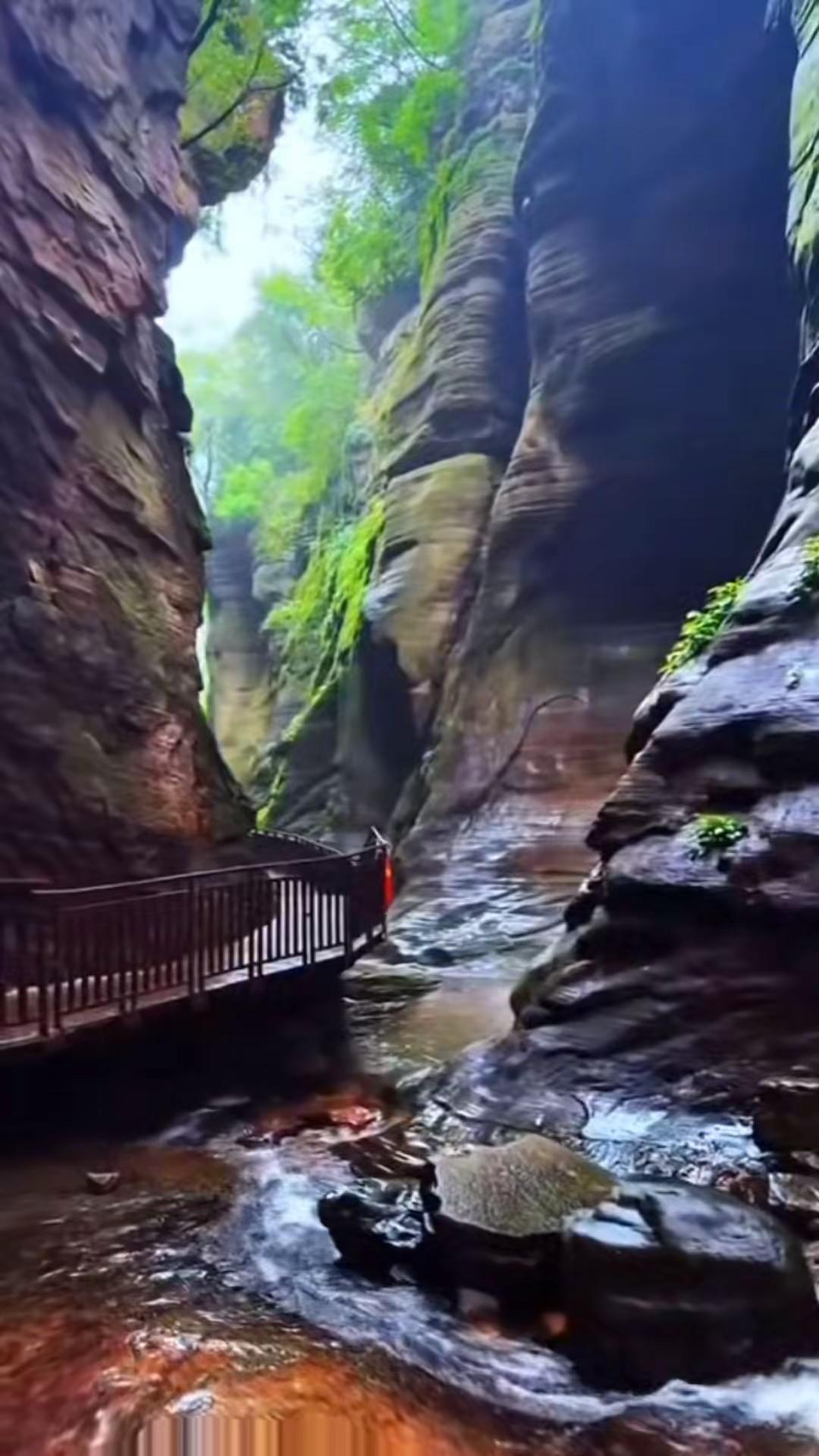 瑶飘广之旅。