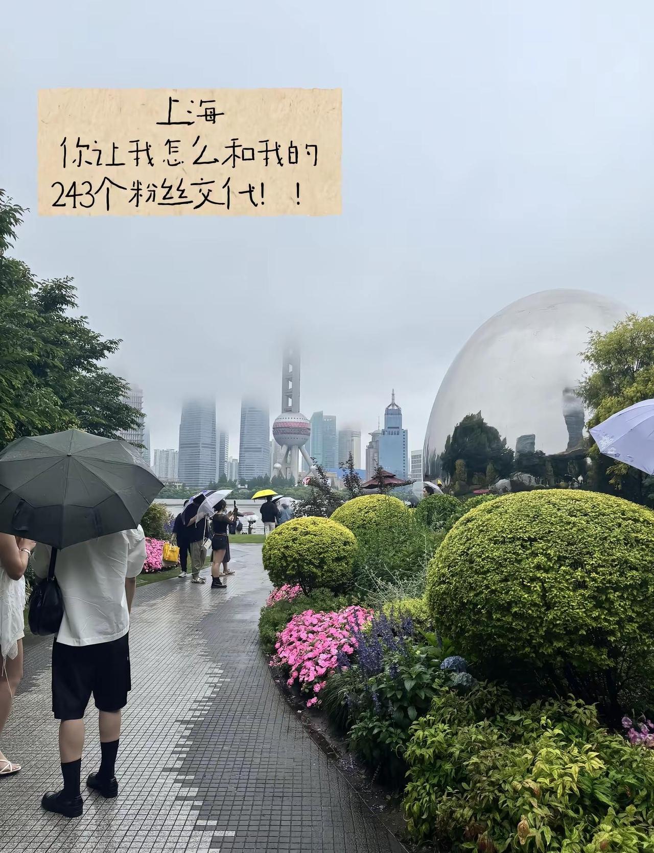 好了好了 这下坏了上热门dou+热门入口 上海下雨